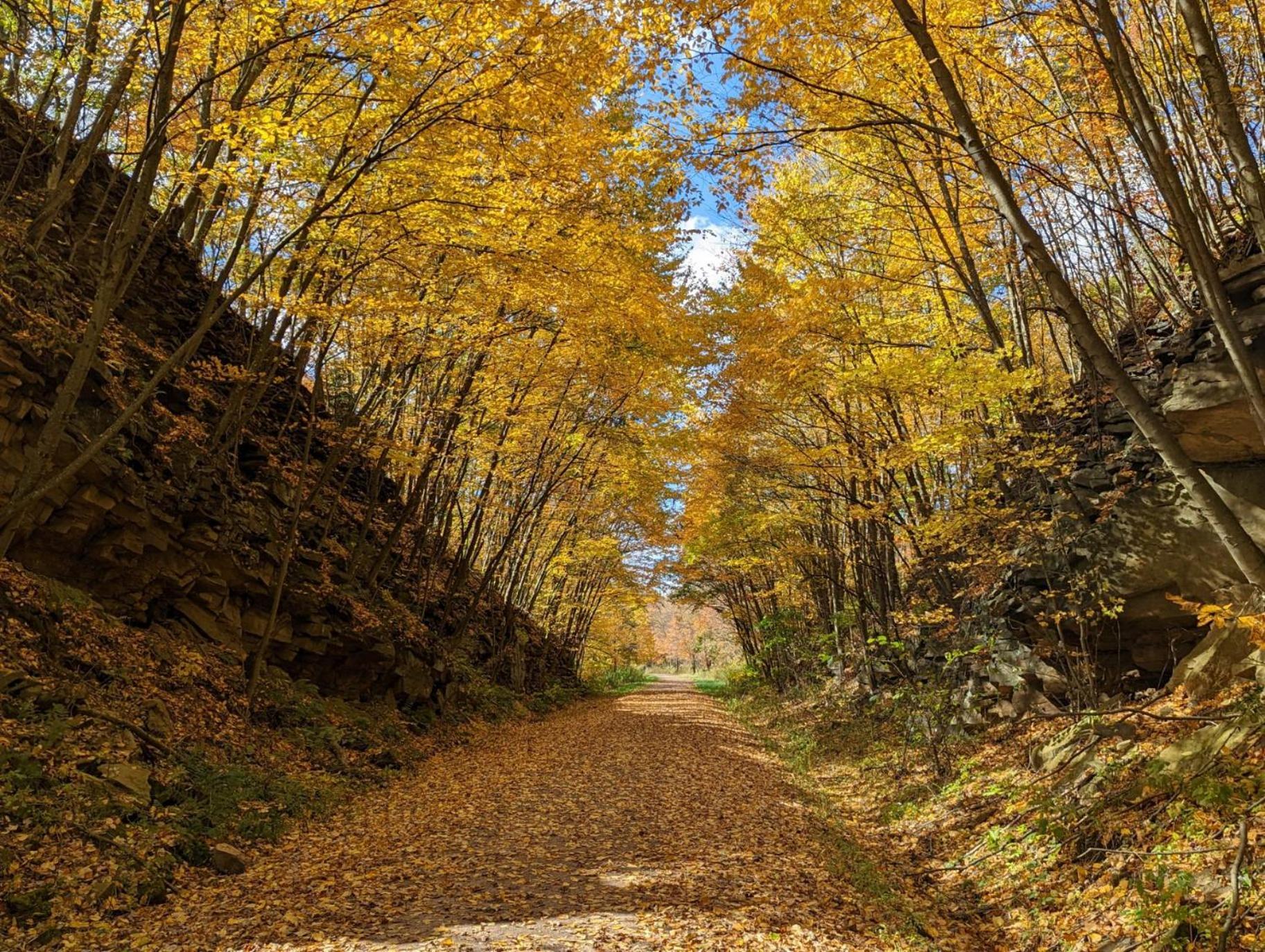 Stay In Ohiopyle Near Gap Trail, Restaurants, & The Fallls Kültér fotó